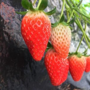 10万円の使い方